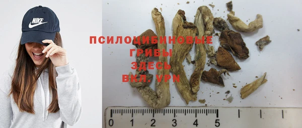 гашик Абдулино