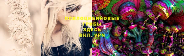 индика Ростов
